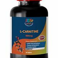 Blocks Fat Formation Tablets - L-Carnitine 500mg - L Carnitine Bodybuilding 1B