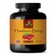 Powerful Cardiovascular Support HAWTHORN BERRY Extract 665mg - 1 Bottle 60 Caps