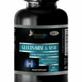 Glucosamine Chondroitin Powder - GLUCOSAMINE & MSM 3200mg - Support Joint Health
